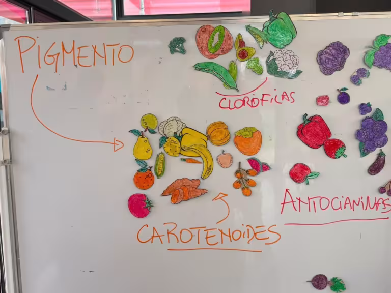 "La ciencia detrás de las frutas y hortalizas: ¿Qué nos cuentan sus colores? | Taller con INIA